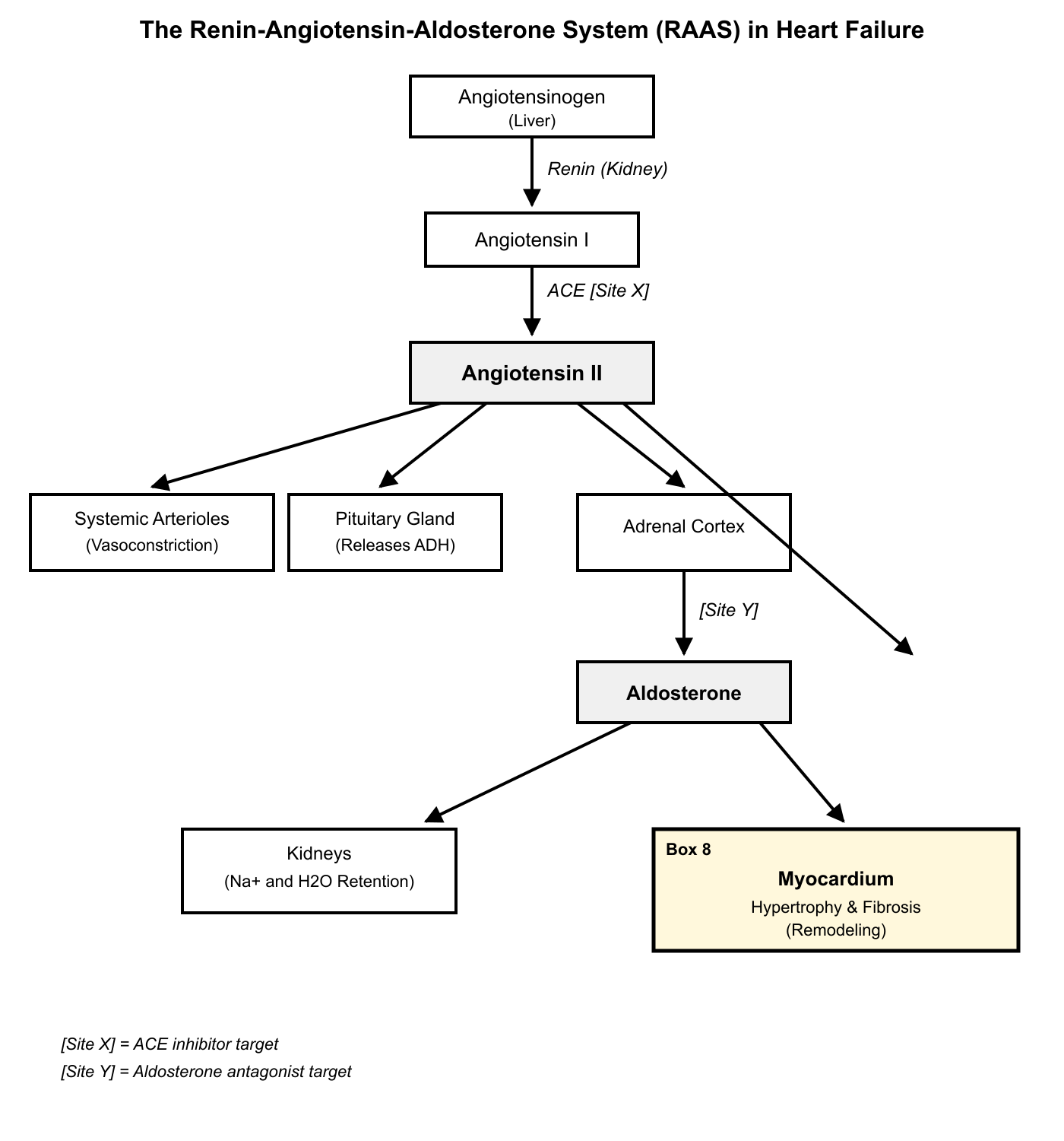 Question graphic